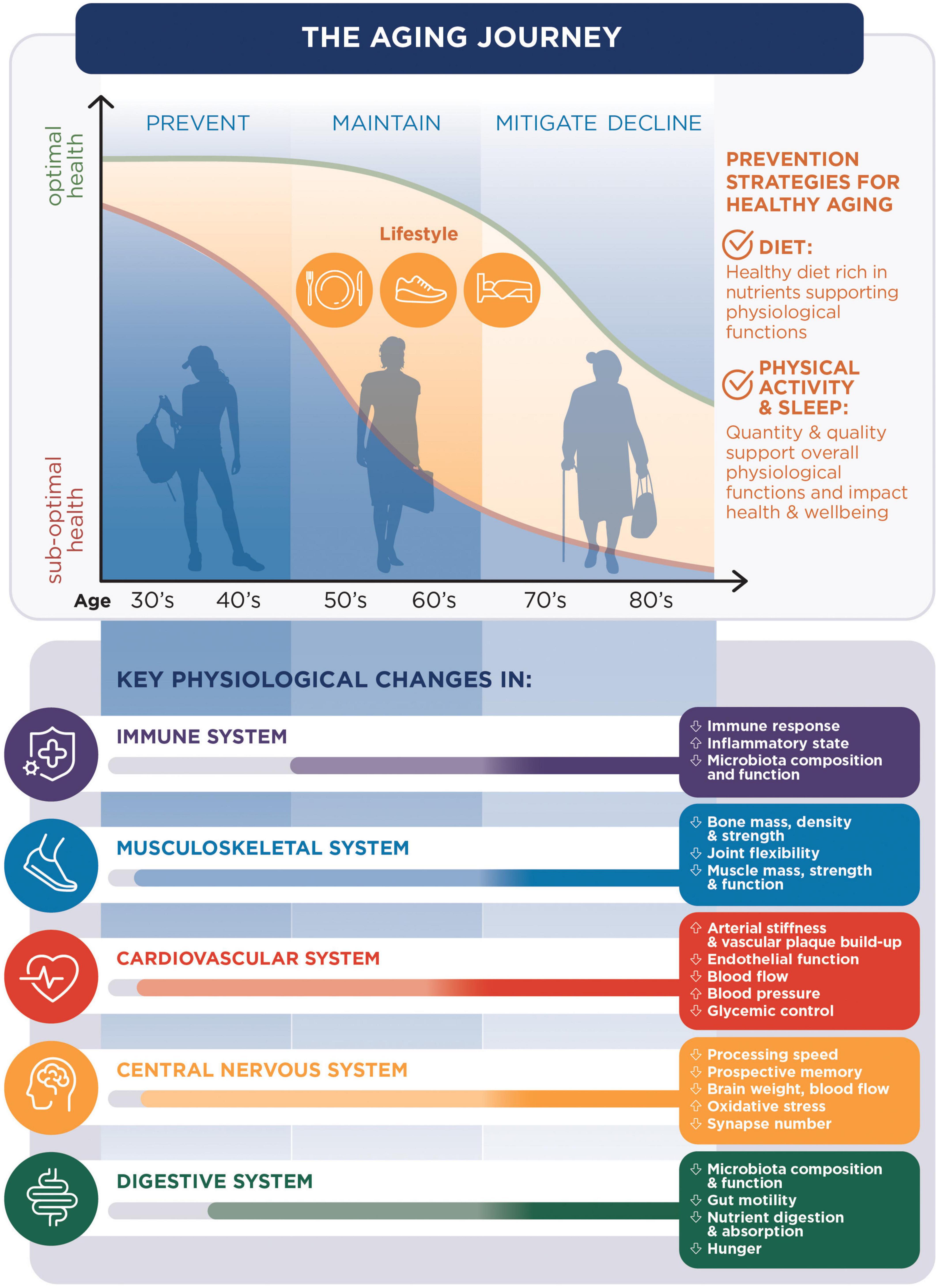 Nutritional and lifestyle management of the aging journey: A narrative review